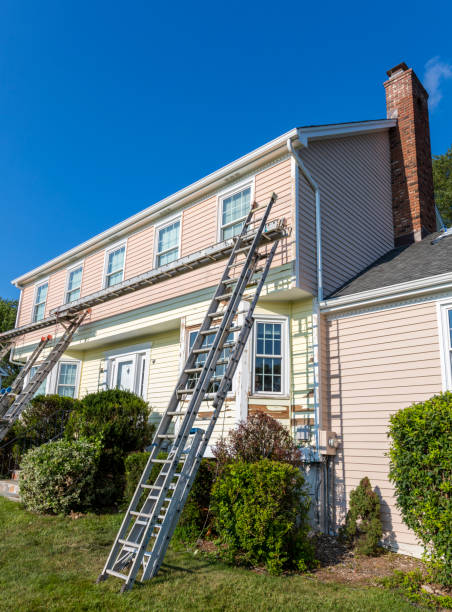 Best Siding Painting and Refinishing  in Albert Lea, MN